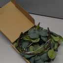 6.56FT Eucalyptus Garland with Lights 96 LEDs 8 Modes Battery Operated with Timer Faux Twig Vine Lights Spring Greenery Garlands for Mantle Fireplace Wall Table Stairs Wedding Party Bedroom Home Decor