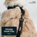 Durable Dog Leash for Walking and Training | Comfortable Grip | for Running and Daily Walks | Dog Leash by Happy Three