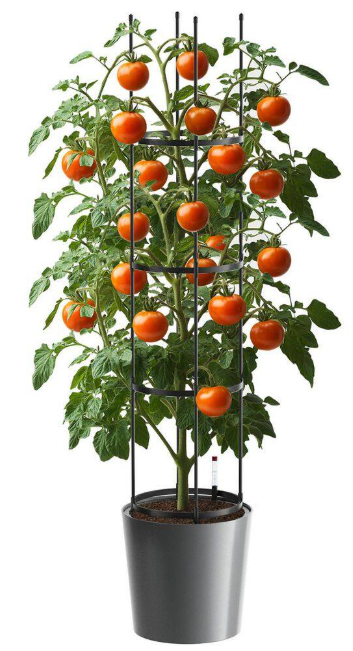 Tomato Planter with Trelli 63 in. Plastic Raised Garden Bed Tomato Planter Box w/ Wheels Tomato Support Cages for Garden