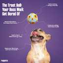 Treat Ball Small Dogs 2 Pack Puzzle Toy BPA Free | treat dispensing toy, mental stimulation, enrichment toy, anxiety relief, French Bulldog, Chihuahua, Dachshund, BPA free