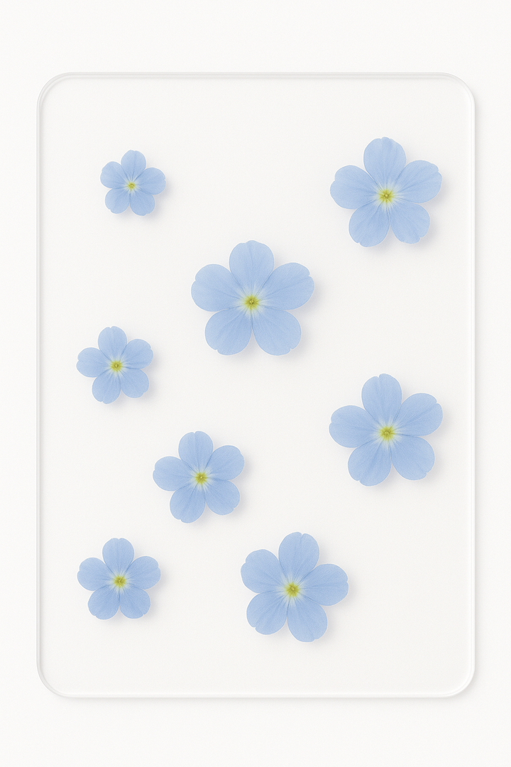 Blue Flowers on Aceylic Sheet Blue Flowers on Aceylic Sheet