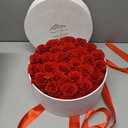 27 Forever Flowers in a Luxury Suede Box, Preserved Roses Birthday Gifts for Women, Romantic Anniversary Wedding Gifts for Women Her Girlfriend Wife, Red