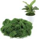 7oz Fake Moss for Potted Plants Indoor - Artificial Moss for Crafts- Faux Moss Decor DIY Decorative, Fairy Garden, Model Making, Walls, Glass Containers, Home and Garden Projects | 200g