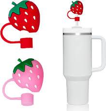 Straw Toppers 2 Pack