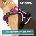 Embark Adventure Dog Harness, Reflective Trim No Pull Dog Harness Medium Sized Dogs - Military Grade Nylon, Front Clip with Gel Lined Handle.