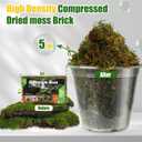 2 x Doter Dried Forest Moss for Plants (5 qt / 1 Pack), Sphagnum Potting Moss for Various Plants, Including Orchids, Carnivorous Plants, Succulents, Garden Flowers, and Reptiles