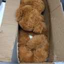 Teddy Bears Bulk 5 Packs Teddy Bear Stuffed Animals Plush Toys Gift for Kid Girlfriend,13.5 Inches Stuffed Bears for Christmas Valentines Day Birthday Wedding Party