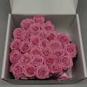 27 Forever Preserved Flowers in a Box, Vanlentines Day Gifts for Her, Eternal Roses Flowers for Delivery Prime, Birthday Gifts for Women Mom Grandma Wife (Pink)