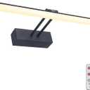 Picture Light, 16" AA Battery Picture Light,Full Metal Picture Frame Light,Wireless Picture Lights with Remote for Wall Display, Photo,Library Black