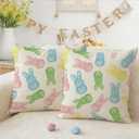 RABUSOFA Easter Pillow Covers 18x18 inch Set of 2 Easter Decorations for Home Colorful Rabbit Throw Pillows for Bedroom Sofa Holiday Festivals Home Decor (Multicolor)