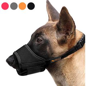 HEELE Dog Muzzle,Soft Nylon Muzzle Anti Biting Barking Chewing,Air Mesh Breathable Drinkable Adjustable Loop Pets Muzzle for Small Medium Large Dogs 4 Colors 4 Sizes (Light Black, M)