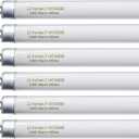 22 Inch T5 Fluorescent Light Bulb 14 Watt F14T5/WW Compatible with Sylvania Satco Philips GE Under Cabinet Lamp Light 3000K Warm White 800 Lumen G5 Base 6 Count