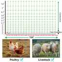 PPOLB Electric Poultry Fence Netting - 164'L x 47.5" H, Portable Movable Nets Mesh for Chickens, Ducks, Geese, Rabbits, Electric Fencing for Backyards, Homesteaders, Farms Ranches, and Gardens