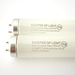F20T12/WW (2 Pack) 2ft Fluorescent Tube Light Bulb 20W 20 Watt Soft Warm White 3000K T12 1.5 inch Diameter Replaces F20T12 F20T12KB/ECO/RVL F20T12KB/ECO F20T12/SPX30 F20T12/DSW/RP (2)