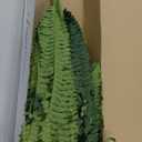 FOREST PRINCE 35" Ferns Artificial Bush Plants Large, 2 Artificial Boston Ferns with 39 Fronds for Outdoors Home Decor