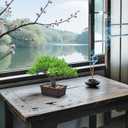 Der Rose 8 Inch Fake Plants Artificial Bonsai Tree Ficus for Home Office Desk Table Shelf Japanese Zen Decor Indoor