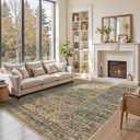 6x9 Area Rugs for Living Room Bedroom, Large Washable Rug, Brown Vintage Retro Boho Rug, Non Slip & Low Pile Carpet for Indoor Dining Room, Classroom Dorm and Kids Room(Brown 6x9ft)