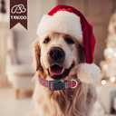 Tunkoo Christmas Dog Collar Red Green Plaid Cute Adjustable Plaid Collar for Boy and Girl Dogs, Dog Collar with Strong Plastic Buckle - for Small Medium Large Pets, M