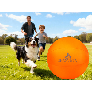 Orange Dog Ball Toy