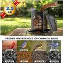 Birdream Bird Feeders for Outdoor Hanging, Assembly Required, 1-Min Easy Setup, Classic Courtyard Design, Attracting Cardinals Chickadees Goldfinches & Sparrows - Black