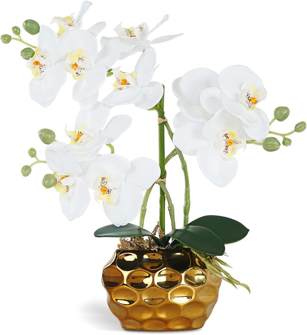 Ziwon Artificial Orchid Flowers & Plants Potted in Ceramic Pot, White Faux Phalaenopsis Orchids for Table Centerpiece, Realistic Fake Flower Arrangement for Home Office Decor Indoor (White & Gold 01)
