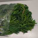 Norfolk Pine Garland with 60 Lights, 80 Pine Branches, Realistic Christmas Garland Holiday Greenery for Table Mantle Wall Christmas Decorations