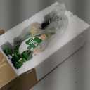 Retisee Solar St. Patrick's Day Garden Statue Resin Gnome Statue with Shamrock LED Lights Outdoor Lucky Solar Light Figurine Decoration for Yard Patio Lawn Gift for St. Patrick's Day Irish