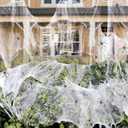 ZHUOXIN Spider Webs Halloween Decorations Bonus with Fake Spiders,Stretch Cobwebs for Halloween Outdoor Party Supplies (1000 sq ft)