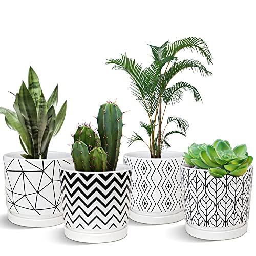 Ton Sin Plant Pots,5.5 Inch White Pots for Indoor Plants with Drainage Holes,Cylinder Flower Pot Ceramic Planters with Saucer,Cactus Succulent Outdoor Garden Pots Set of 3 Ton Sin Plant Pots,5.5 Inch White Pots for Indoor Plants with Drainage Holes,Cylinder Flower Pot Ceramic Planters with Saucer,Cactus Succulent Outdoor Garden Pots Set of 3