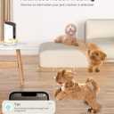 2K Pet Camera Treat Dispenser, 360View Dog Camera with Phone App, 5G&2.4G WiFi 2-Way Talk Pet Cam Indoor for Cats Remote Treat Tossing, Motion Alerts, Auto Tracking (White)