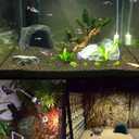 PINVNBY Large Reptile Hideout Cave,Resin Tortoise Hide Rock Turtle Hideaway House Lizard Box Shelter Habitat Decoration for Gecko Spiders Frogs Fish Turtles Hermit Crabs(3 Pcs)