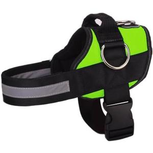 Joyride Basic Essential Dog Harness 1.0 - Small, Medium, Large Dogs, No-Pull Pet Vest with 3 Side Rings for Leash Placement, Adjustable for Training (Green Glow, XS)