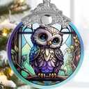 Jocidea Owl Christmas Ornaments - Owl Hanging Ornament - Owl Christmas Decor - Owl Suncatchers for Windows - Christmas Owl Gifts - Owl Lovers Gifts - Owl Ornaments for Christmas Tree