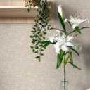 NuWallpaper by WallPops Tan Poplin Peel and Stick Wallpaper, NUS5002