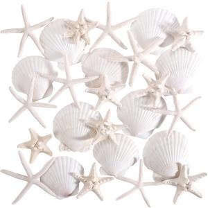 PPCLION 24 PCS Natural Starfish 2-4" and Scallop Shell for Crafts Making Beach Theme Party Wedding Decoration, Home Wall Decor, Christmas Ornaments