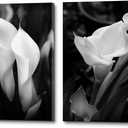 Calla Lily Canvas Wall Art: Black and White Flower Artwork Modern Floral Wrapped Canvas Picture Prints Elegant Living Room Painting Photography Ready to Hang for Bedroom Bathroom Office, size: 18" x 24"