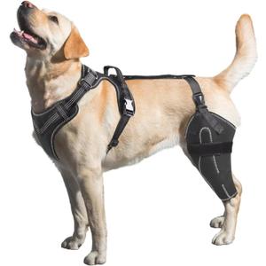 Dog Knee Brace for Torn ACL/CCL Hind Leg,Adjustable Support with Sufficient Wrapping and Support & Luxating Patella,Non-Slip Joint Brace,Pain Relief & Better Recovery-Left Leg/M