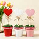Fangoo 3Pcs Valentines Day Wooden Heart Potted Table Decoration Sign Pink Red White Heart Shaped Rustic Tiered Tray Decor Tabletop Centerpiece Wedding Valentines Day Home Gifts Parties