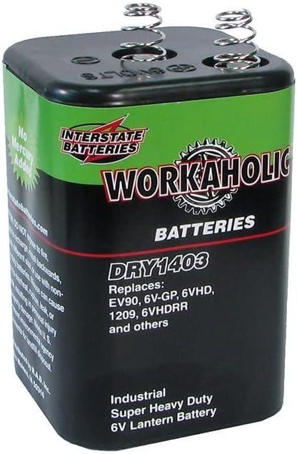 Interstate Batteries 6 Volt Battery, HD Lantern Battery (DRY1403)