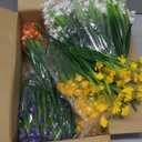 TURNMEON 20 Bundles Artificial Flowers for Outdoors Fake Plants Summer Fall Decor, UV Resistant Artificial Plants Fake Fall Flowers Faux Plastic Greenery Shrub Home Cemetery Decor 580 Head