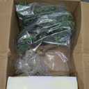 Artificial Bonsai Tree 16" Tall with Realistic Wood and Ceramic Pot Fake Plants Juniper Pine Zen Faux Plants for Home Bedroom Office Bathroom Japanese Decor