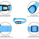 2 x Waterproof Dog Collars,Easy Clean Collar,Adjustable Dog Collars for Small,Medium, Large Dogs(Sky Blue, M)
