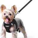 rabbitgoo Dog Harness Small Sized and Leash Set, Step in Soft Light Puppy Vest, Breathable Mesh Pet Harness, Reflective for Safe Easy Walking, Black XS (Xs (chest: 13.3 - 15.5"))