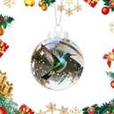 Natures Birds Crystal Glass Ornament Set, Hummingbird Christmas Ornament, Cardinal Bird Glass Clear Plastic Christmas Balls, Xmas Tree Memorial Gifts, Holiday Ornaments (Hummingbird)