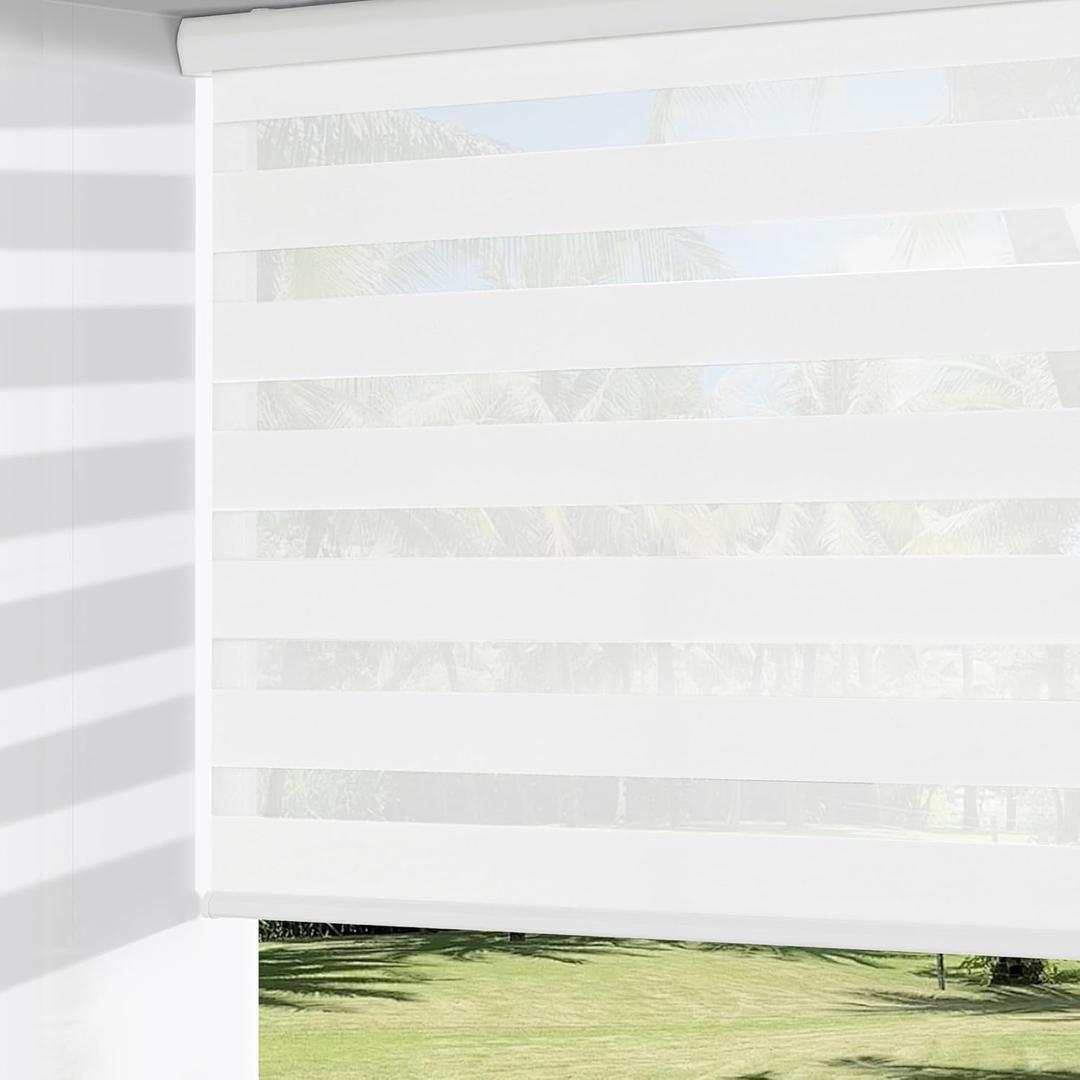 ChrisDowa Cordless Zebra Blinds for Windows, Dual Layer Free-Stop Light Filtering Window Roller Shades, Pull Down Privacy Zebra Shades for Home, Office, Bedroom, Door (20" W x 72" H, White)