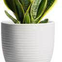 Ceramic Pots for Plants - 6 Inch Plant Pot with Drainage Hole and Saucer, Round Planters for Indoor Outdoor, Flower Pots, Modern Planter, Home Office Room Decor, Gifts for Plant Lovers, White