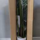 Artificial Golden Cane Palm Tree 4 Feet Faux Plant for Home Decor Indoor Outdoor Faux Areca Palm Tree in Pot for Home Office Perfect Housewarming Gift with Adjustable Trunks