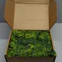 9ft Christmas Cedar Garland with Soft Thickness Pine, Artificial Green Faux Cedar Pine Garland for Mantle Fireplace Indoor Outdoor Holiday Party Home Decoration2 Pcs