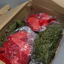 12 Pcs Small Christmas Norfolk Wreaths 15 Inch Christmas Kitchen Cabinet Mini Wreath Real Touch with Bow Ribbon Cedar Red Berry for Xmas Front Door Window Chair Fireplace Table Pillar Farmhouse Decor