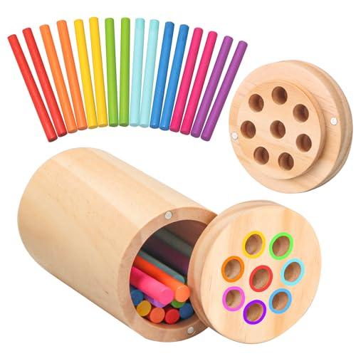 Montessori Toys for 1-3 Year Old,Color Sorting & Fine Motor Skills Preschool Learning Activities,Wooden Sensory Toys for Toddlers
